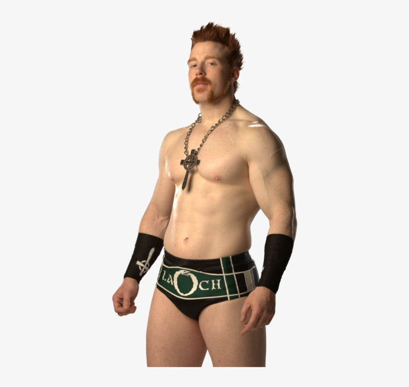 Sheamus Png Clipart - Papercutting, transparent png