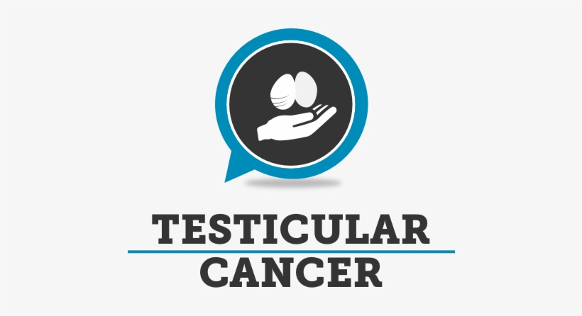 Uruguayan Constitutional Referendum, 2014, transparent png