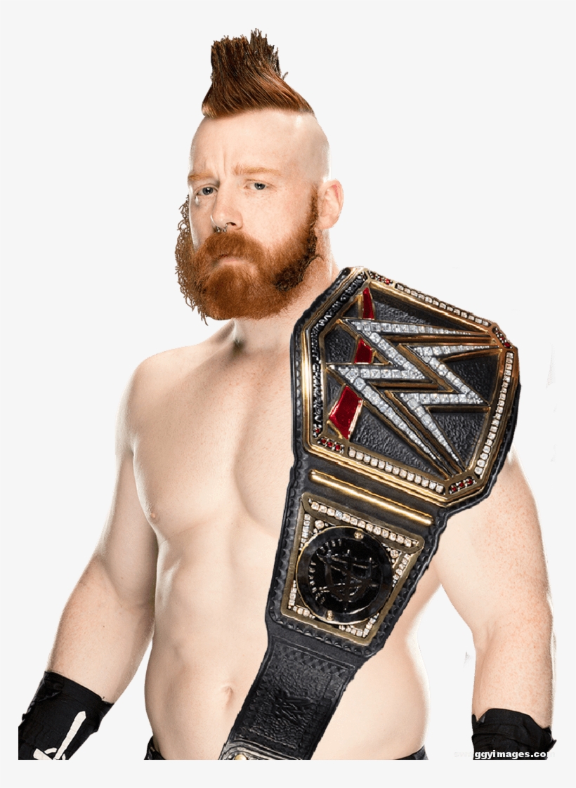 Sheamus Wwe World Champion - Sheamus Wwe, transparent png