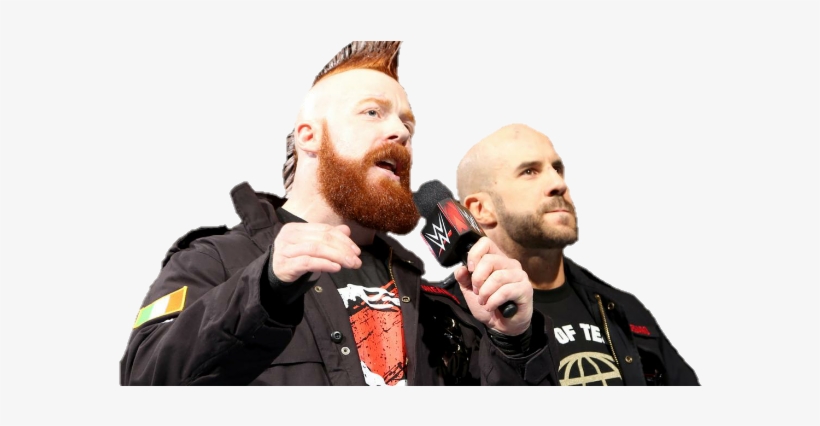 Wrestler, transparent png