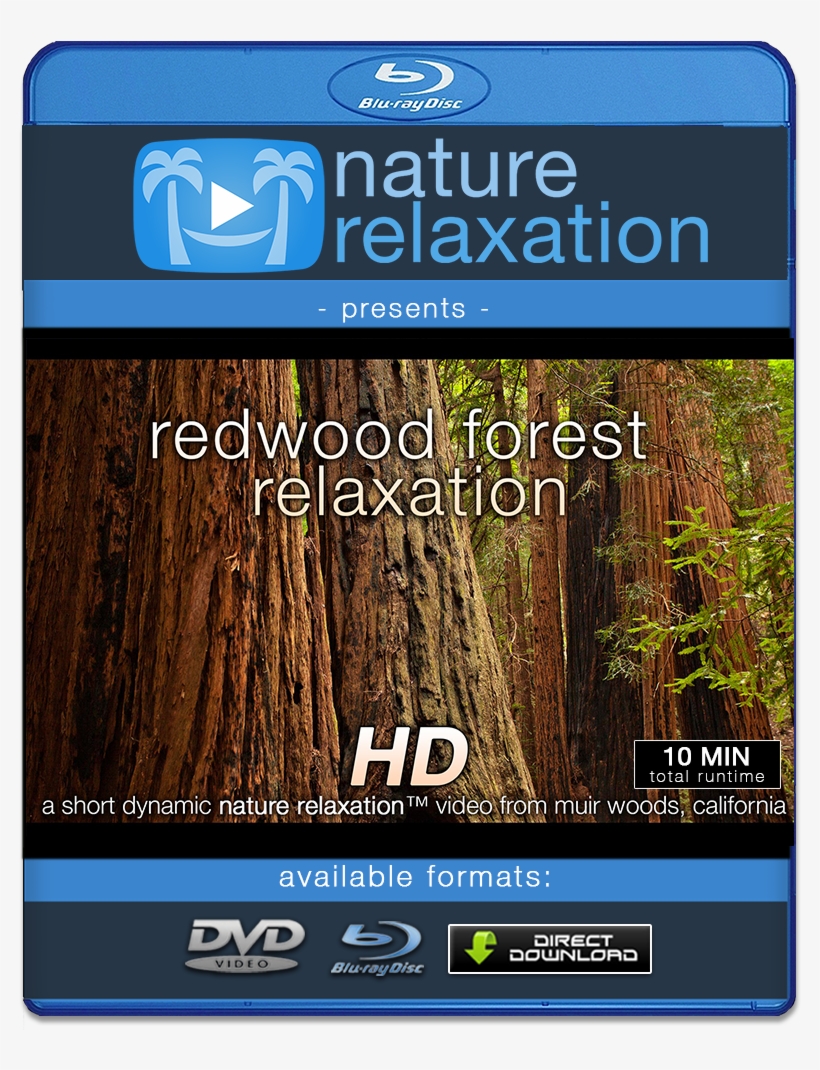 "redwood Forest Relaxation" Healing 10 Minute Nature - Muir Woods National Monument, transparent png