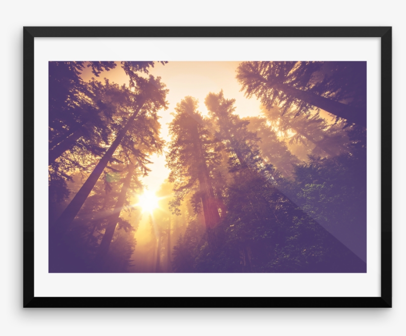 Denjy Waste All My Love, transparent png