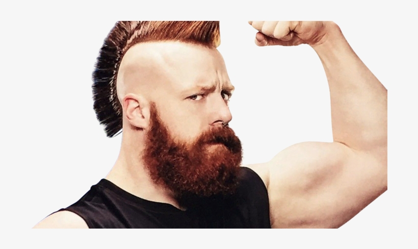 Wwe, transparent png
