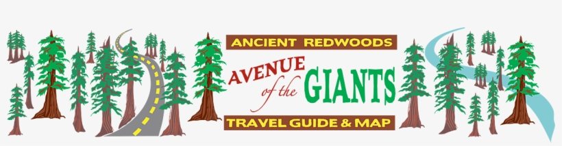 Avenue Of The Giants - Map, transparent png