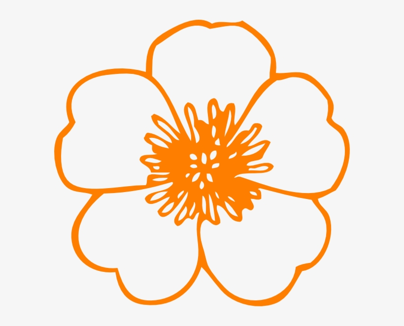Orange Buttercup Flower Clip Art - Flower Clipart Black And White Outline, transparent png
