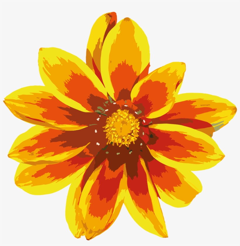 Contact Orange Flower Png, transparent png