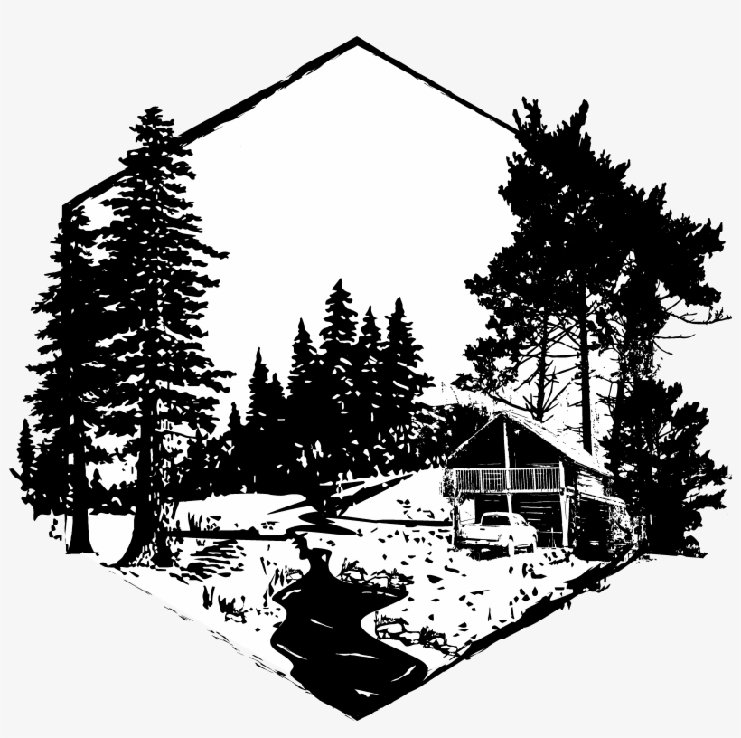 Pines To Redwoods - Colorado Spruce, transparent png