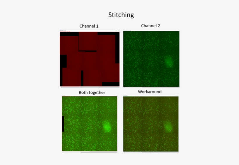 Compare 968 Kb - Portable Network Graphics, transparent png