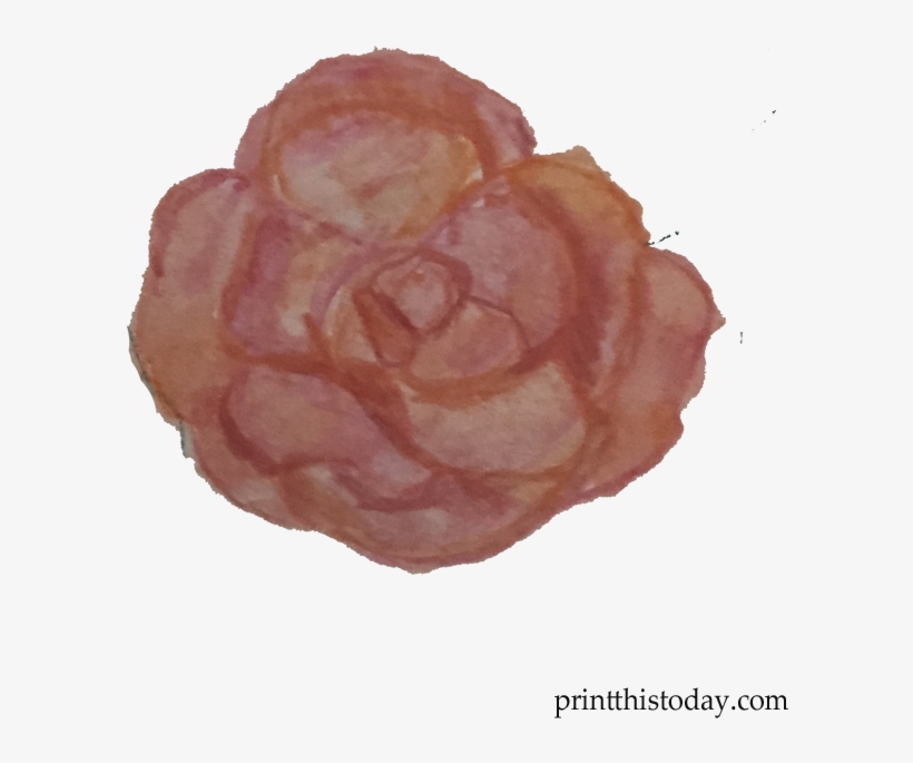 Handmade Orange Rose - Garden Roses, transparent png