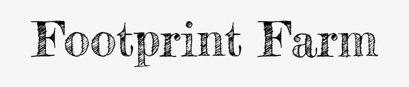 10% Off Middlebury & Vergennes Farmers' Market Purchases - Watercolor Shamrocks For Kiss Me, Im Irish St. Patricks, transparent png