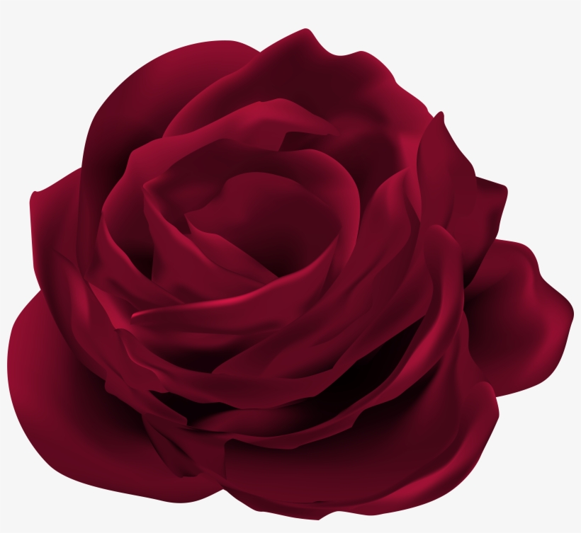 Rose Flower Png, transparent png