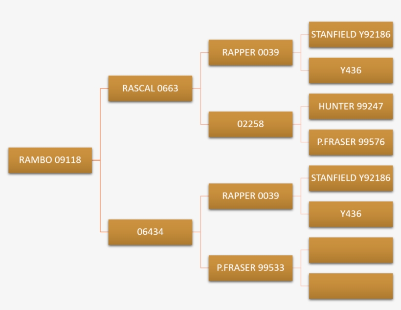 Rambo Pedigree - Internet, transparent png
