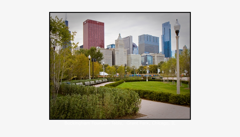 Award Winning Landscape Contractors In Chicago - Chicago, transparent png