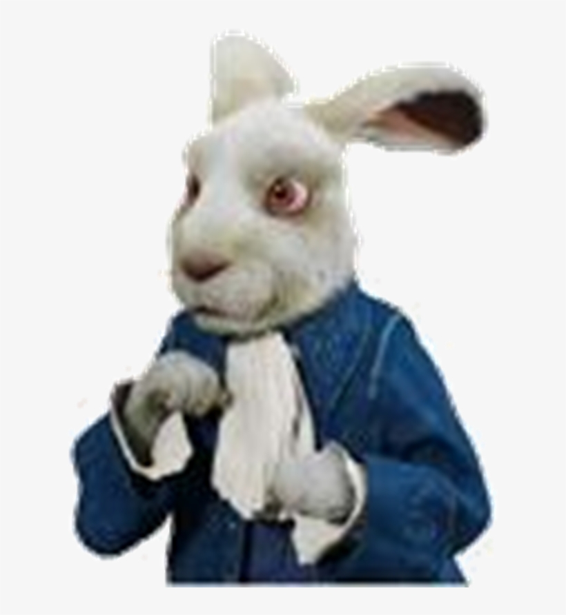 White Rabbit - Alice In Wonderland Rabbit Png, transparent png