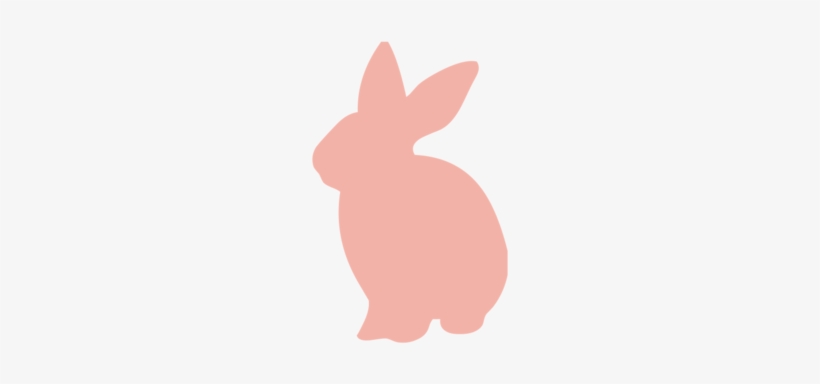 White Rabbit Is A Casual And Fun Neighborhood Bar With - Domestic Rabbit, transparent png