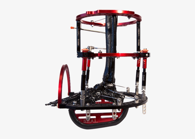 Dne Seal Circular Frame 23 - Bicycle Pedal, transparent png
