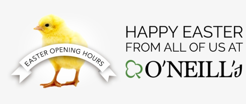 Sundays During Summertime - Huevos De Gallina, transparent png