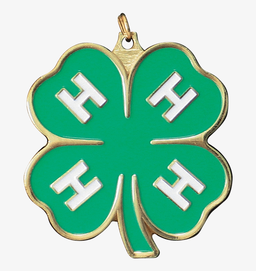 4 H Emblem Clover Gold Medal - 4 H Colorado, transparent png