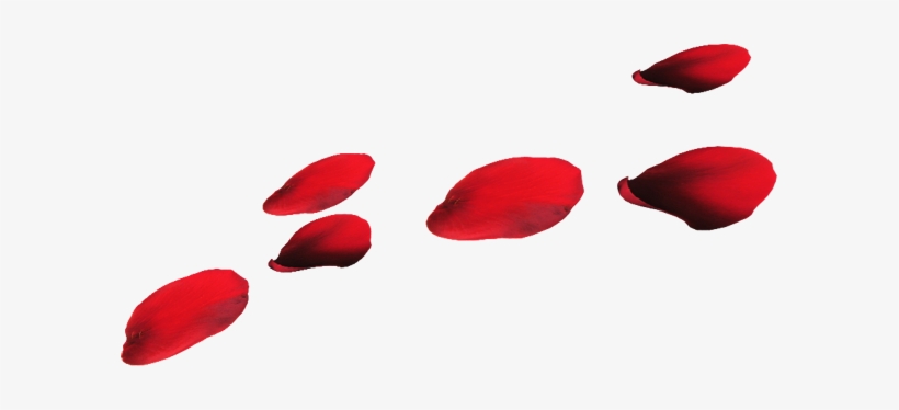 Red Flower Petals - Petal, transparent png