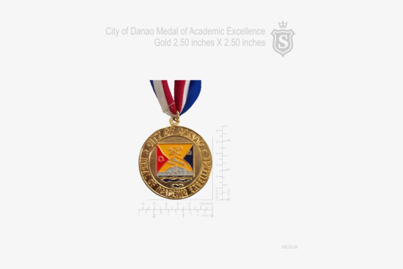 City Of Danao Medal Of Academic Excellence Gold - Danao, Cebu, transparent png