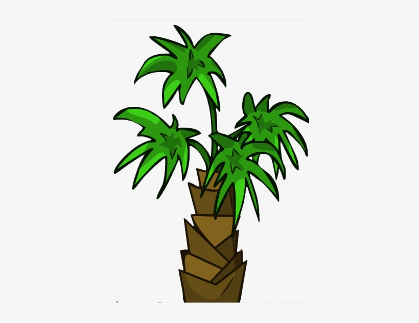 Tropical Tree Large - Wiki, transparent png