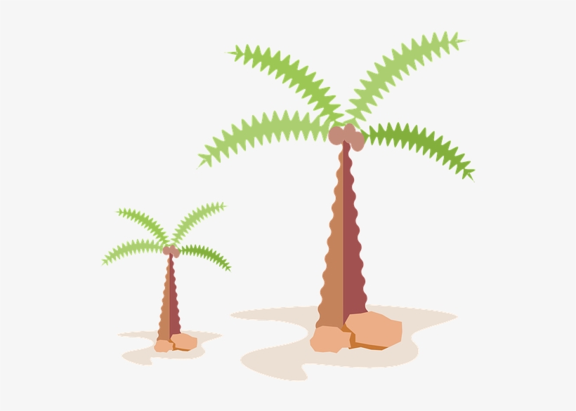 Palm, Tree, Tropical, Summer, Nature, Travel, Green - Palm Trees, transparent png