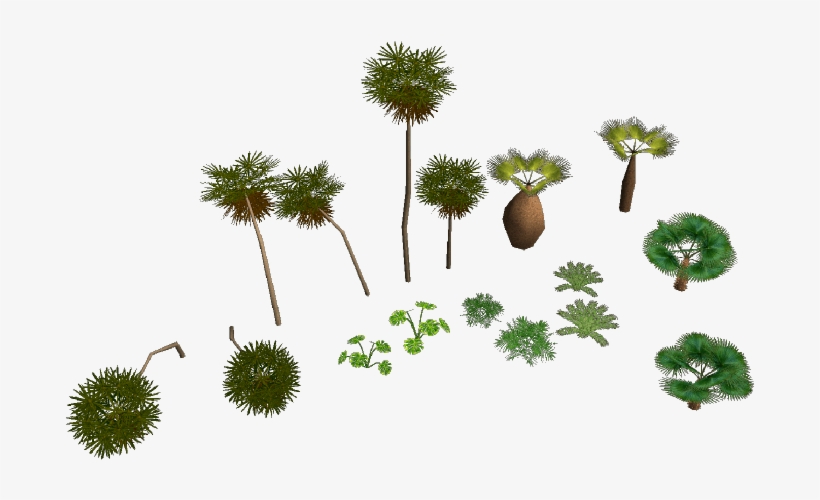 Tropical Trees Pajaj - Rct3 Trees, transparent png
