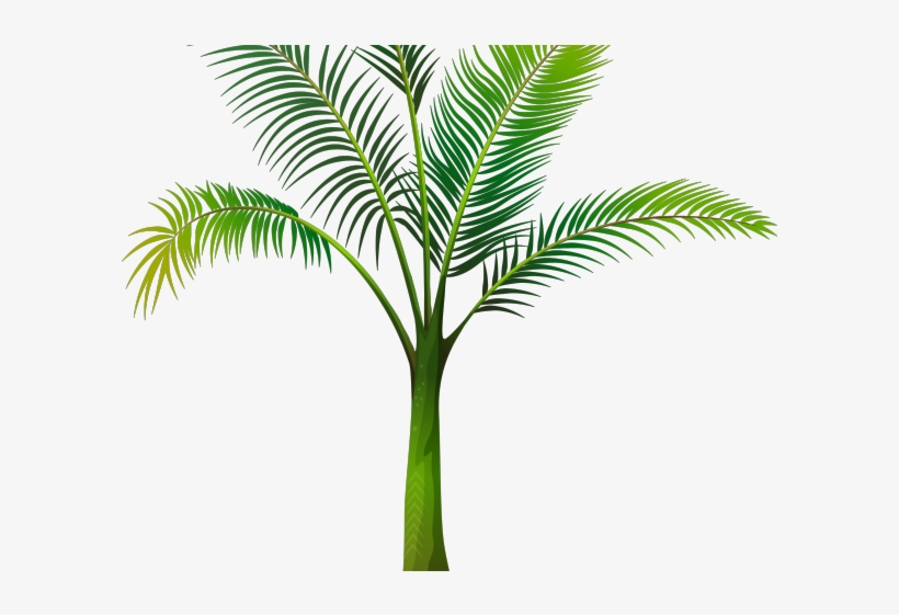 Date Palm Clipart Tropical Tree - Пальма На Прозрачном Фоне, transparent png