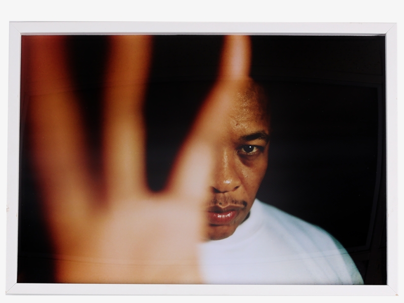 Dre - Cat, transparent png