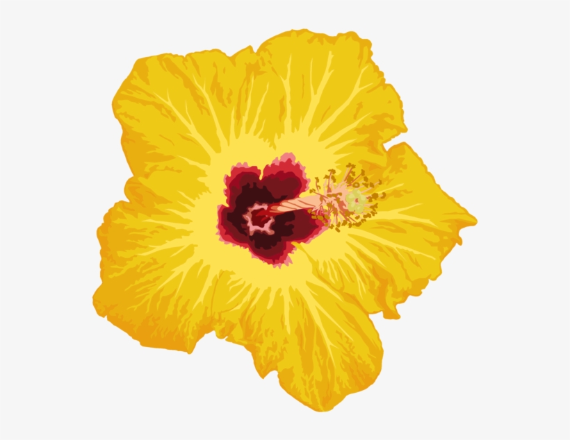 Flower Png By Chingiz Han - Flower, transparent png