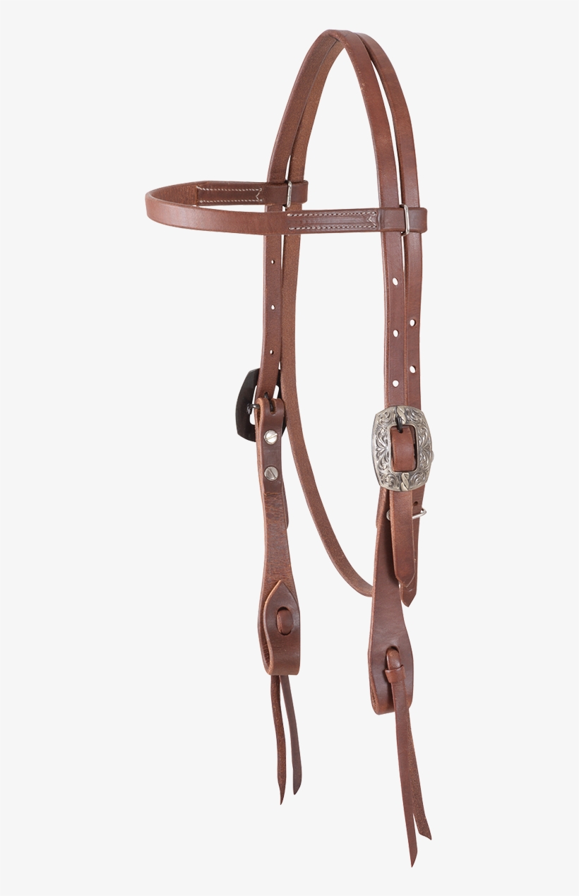 Horse, transparent png
