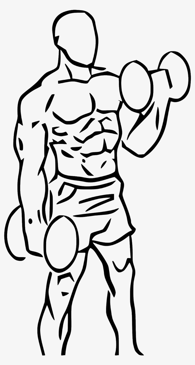 Biceps,exercises For Back,back Exercises,biceps Workout,biceps - Alternate Bicep Curls, transparent png