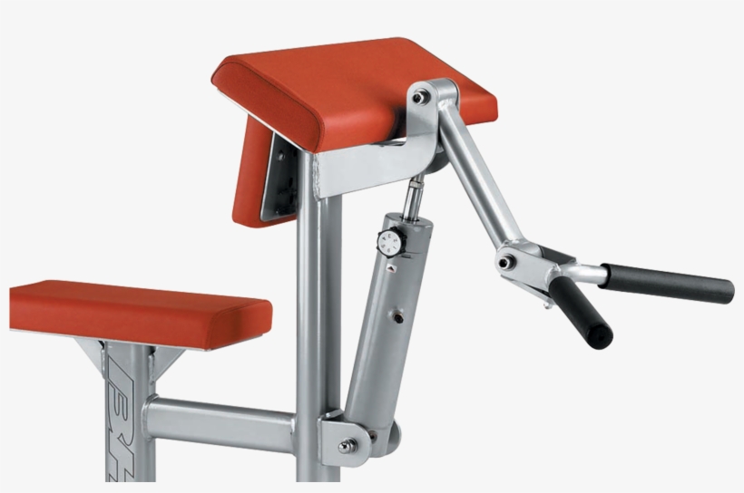 Biceps And Triceps - Maquina De Biceps, transparent png