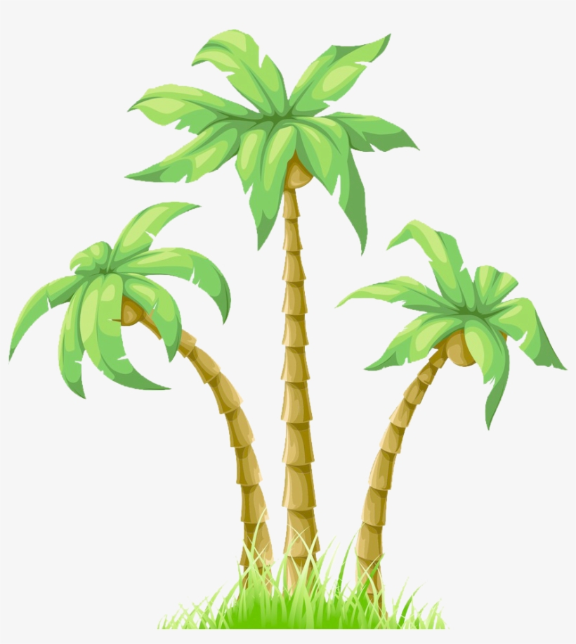 Graphic Black And White Download Cartoon Poster Coconut - Coconut Tree Vector, transparent png