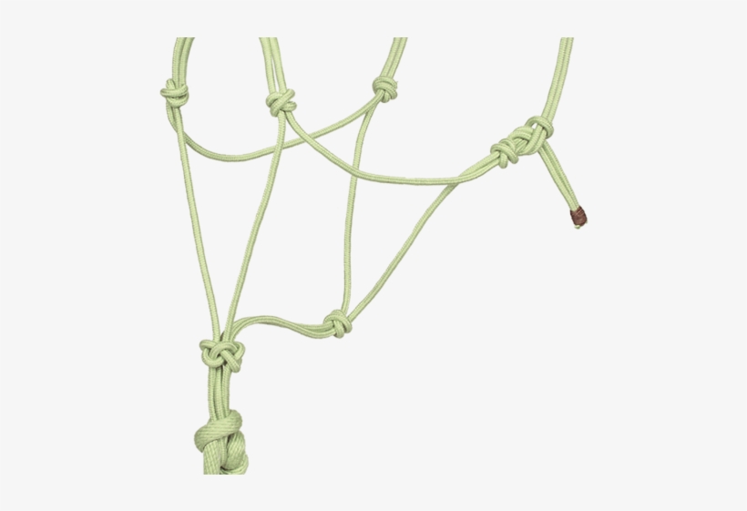 Bamboo Rope Halter W/lead - Lead, transparent png