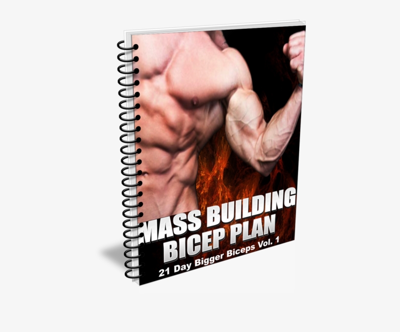 3 Secrets You Must Know About To Build Bigger Biceps - Pegasus World Cup, transparent png