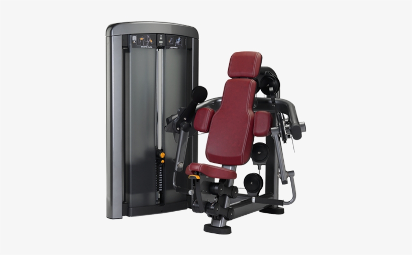 Biceps Curl - Life Fitness Insignia Biceps, transparent png