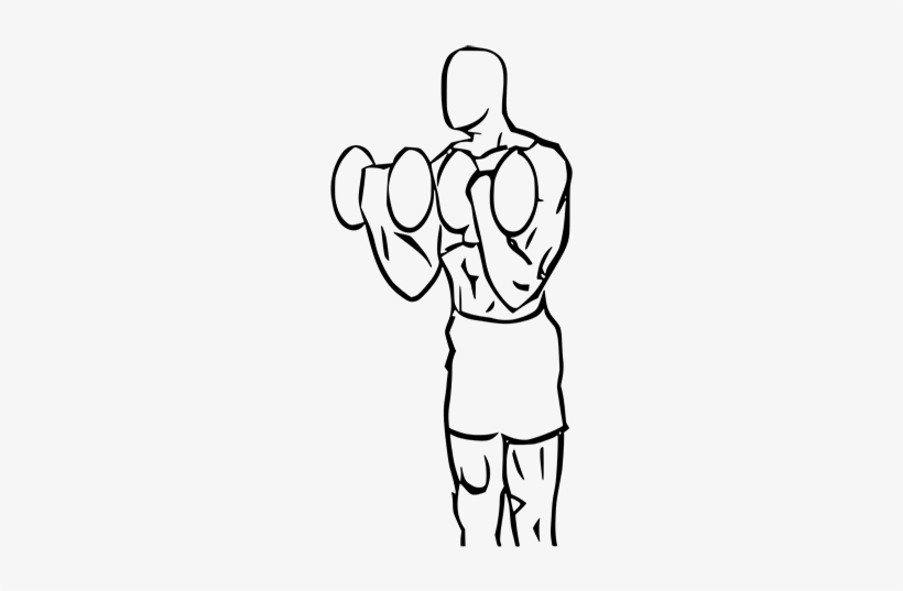 Biceps Curl Squat With Dumbbell - Squat, transparent png