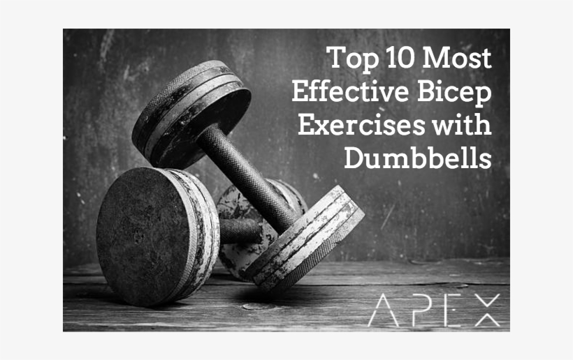 Dumbbells Hd, transparent png
