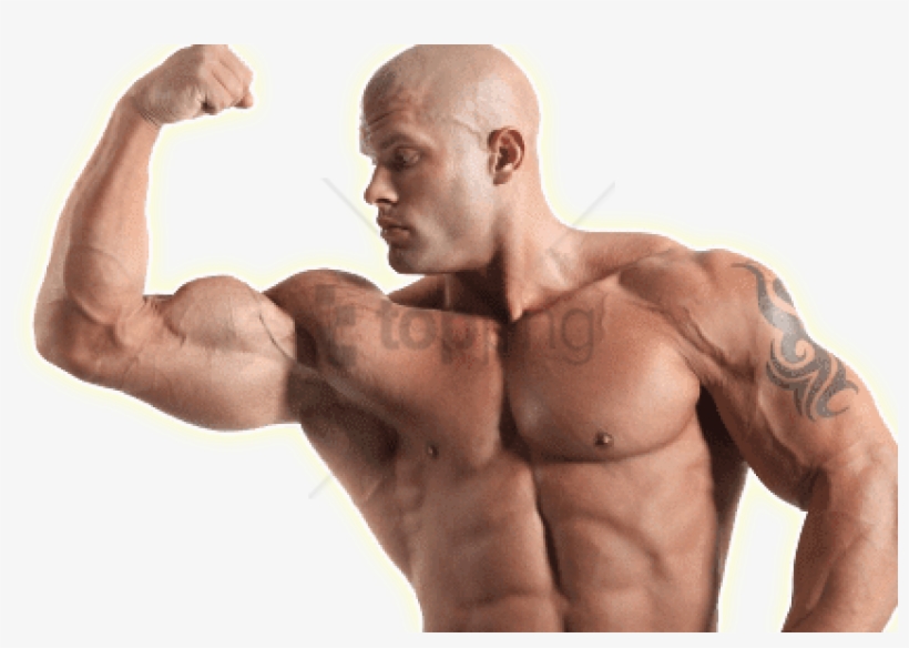 Strong Man Bicep - Amino Acids Benefits, transparent png