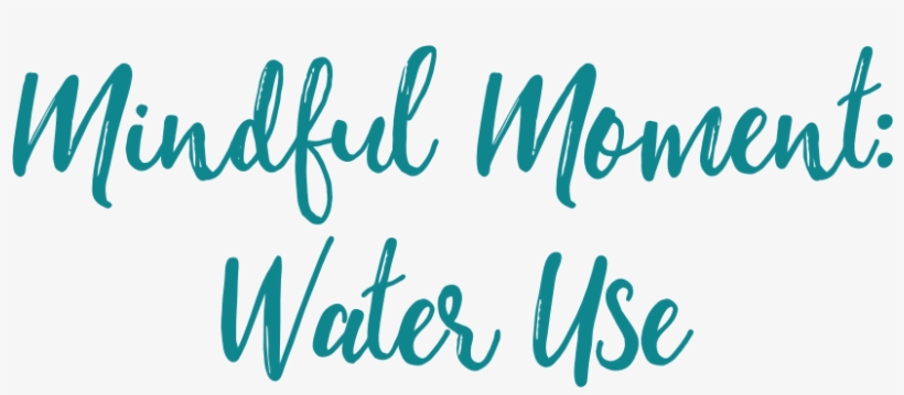 Water - Winter's Tale: (shakespeare Sisters), transparent png