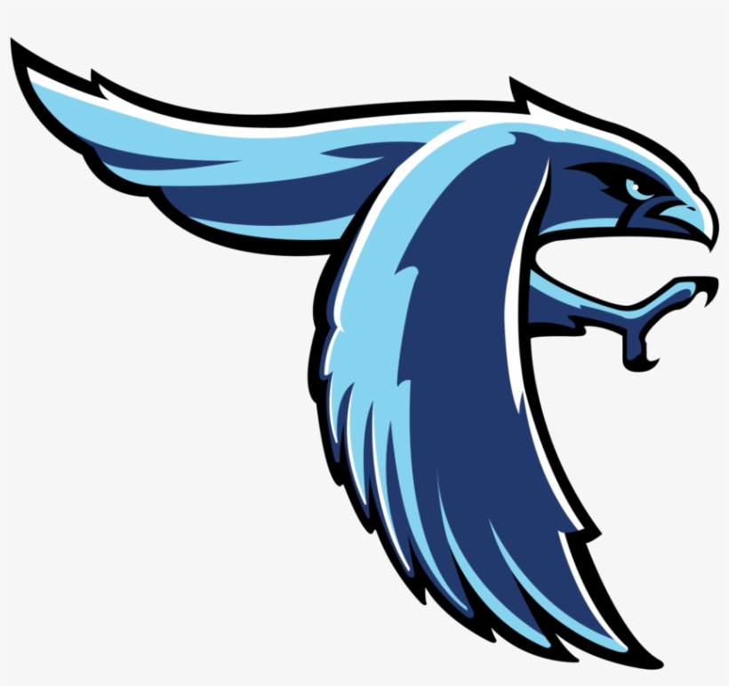 Touchscreen Wall Of Fame And All-state Falcons - Meridian High School Mascot, transparent png