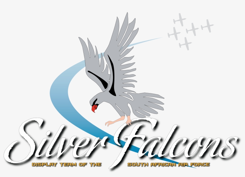 Swallow, transparent png