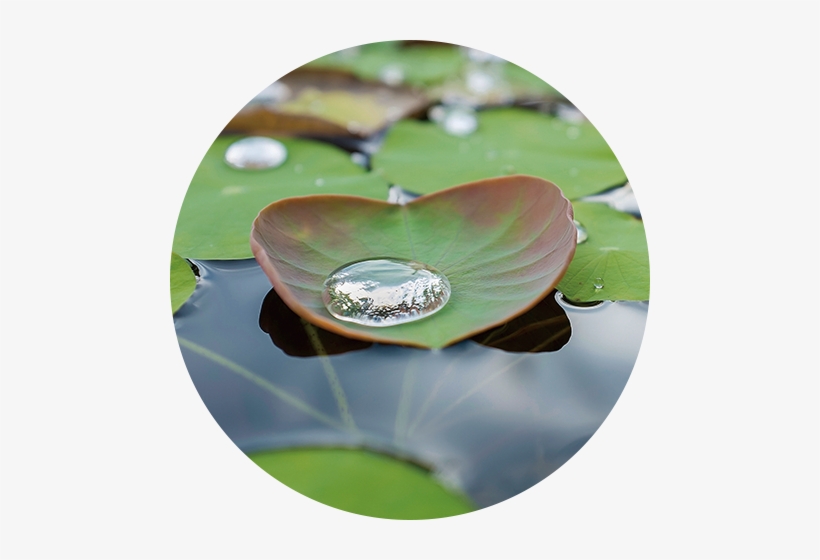 Initiatives For - Water, transparent png