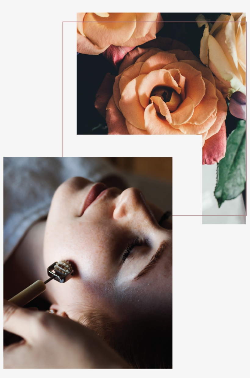 Bobe Beauty Saskatoon Facial-02 - Bōbé Beauty, transparent png