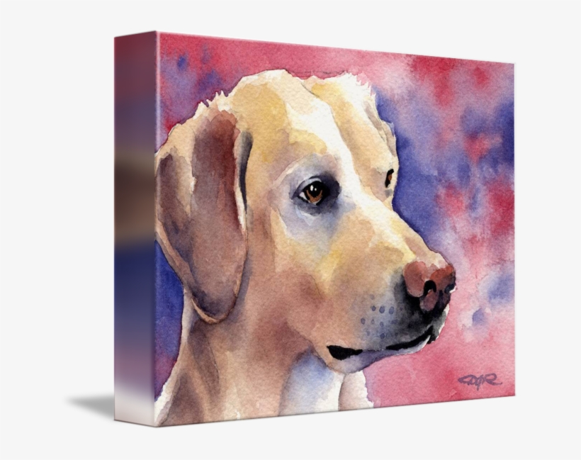 Labrador Retriever 2 By David Rogers - Labrador Retriever, transparent png
