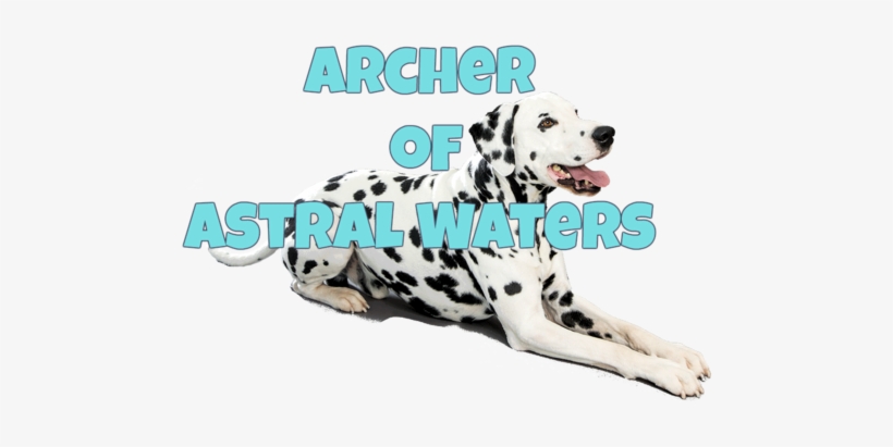 Dalmation Dog Sitting - Dalmatian Dog Png, transparent png