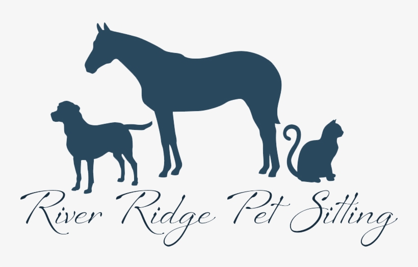 Ancient Dog Breeds, transparent png