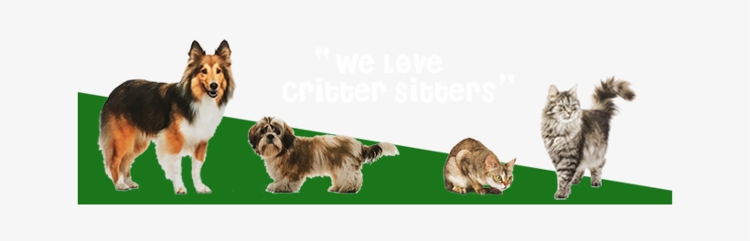 Dog Walking To Longer Term Pet Sitting We Can Make - 猫ちゃんの毛のもつれ・絡み・静電気防止に Biogance バイオガンス ニュートリ・リス ブラッシングローション, transparent png
