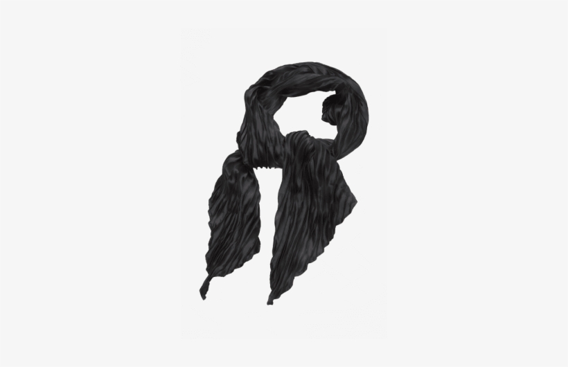 Buy Evergreen Black Scarf - Peter England, transparent png